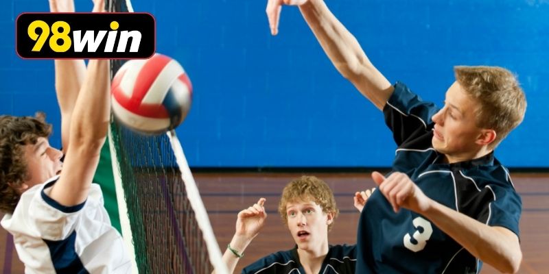 Các loại kèo cược bóng chuyền thông dụng nhất
