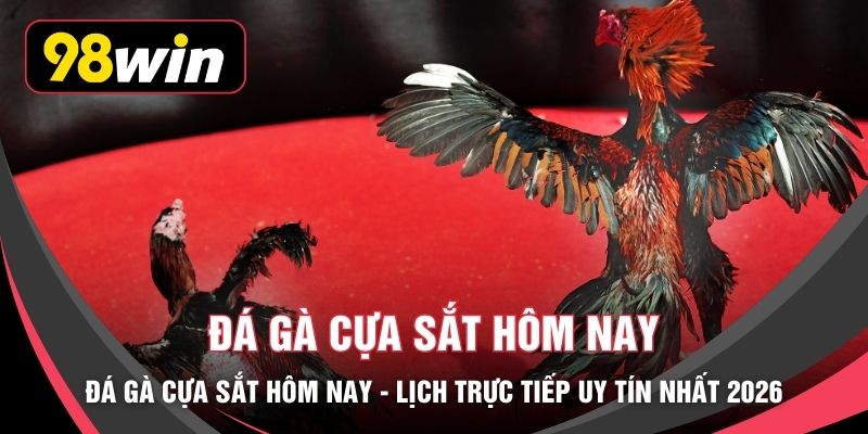 Đá Gà Cựa Sắt Hôm Nay - Lịch Trực Tiếp Uy Tín Nhất 2026