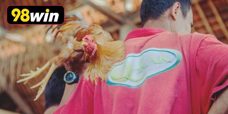 Khám phá ưu điểm nổi bật sảnh đá gà 98WIN
